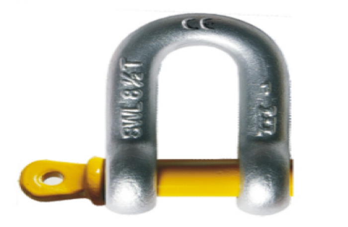 Shackle Straight Screw Pin